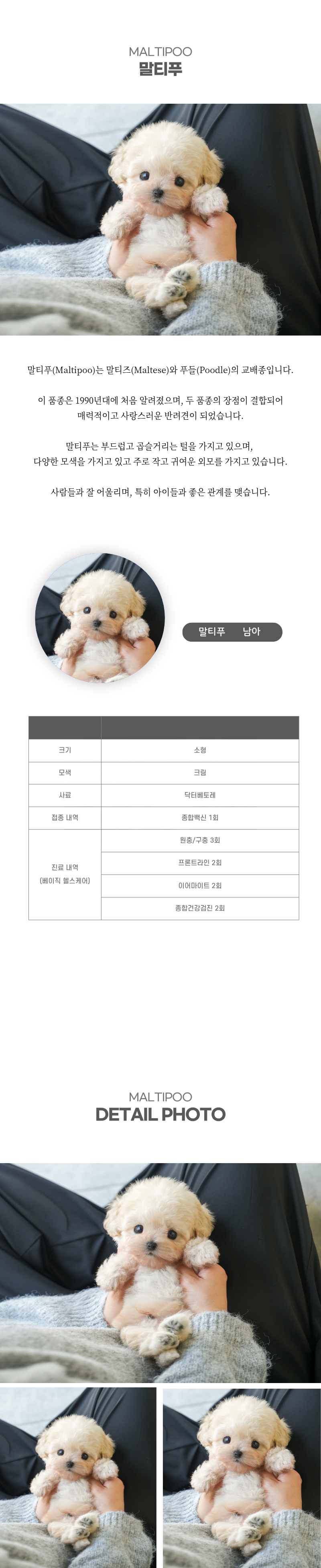 말티푸_상세이미지_2